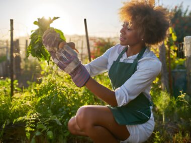 Farm Hand Jobs in Australia with Visa Sponsorship