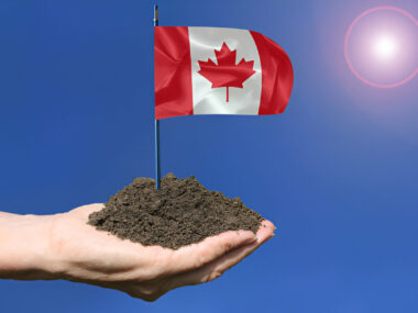 25 Legit Companies Hiring Android and iPhone Users for App Testing in Canada